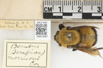 Media type: image;   Entomology 813087 Aspect: labels